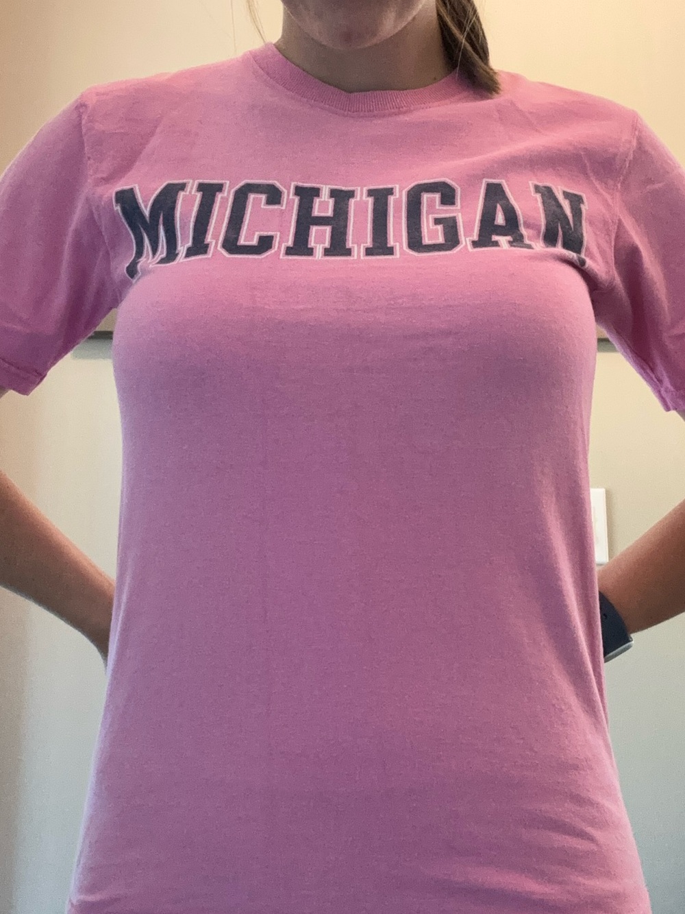 Fruit of the Loom Pink Michigan Short-Sleeve Tee